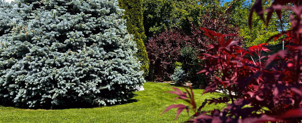 Amenajare grădină de lux realizată de Garden Family