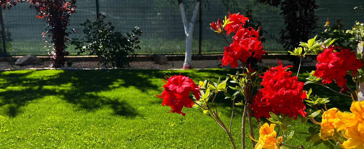 Gradina garden family