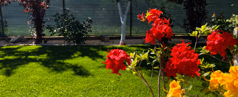 Gradina garden family