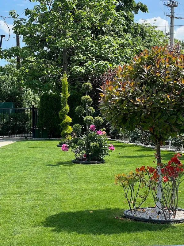 Gradina amenajata 1