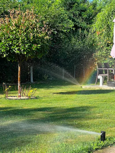 Gradina amenajata 2