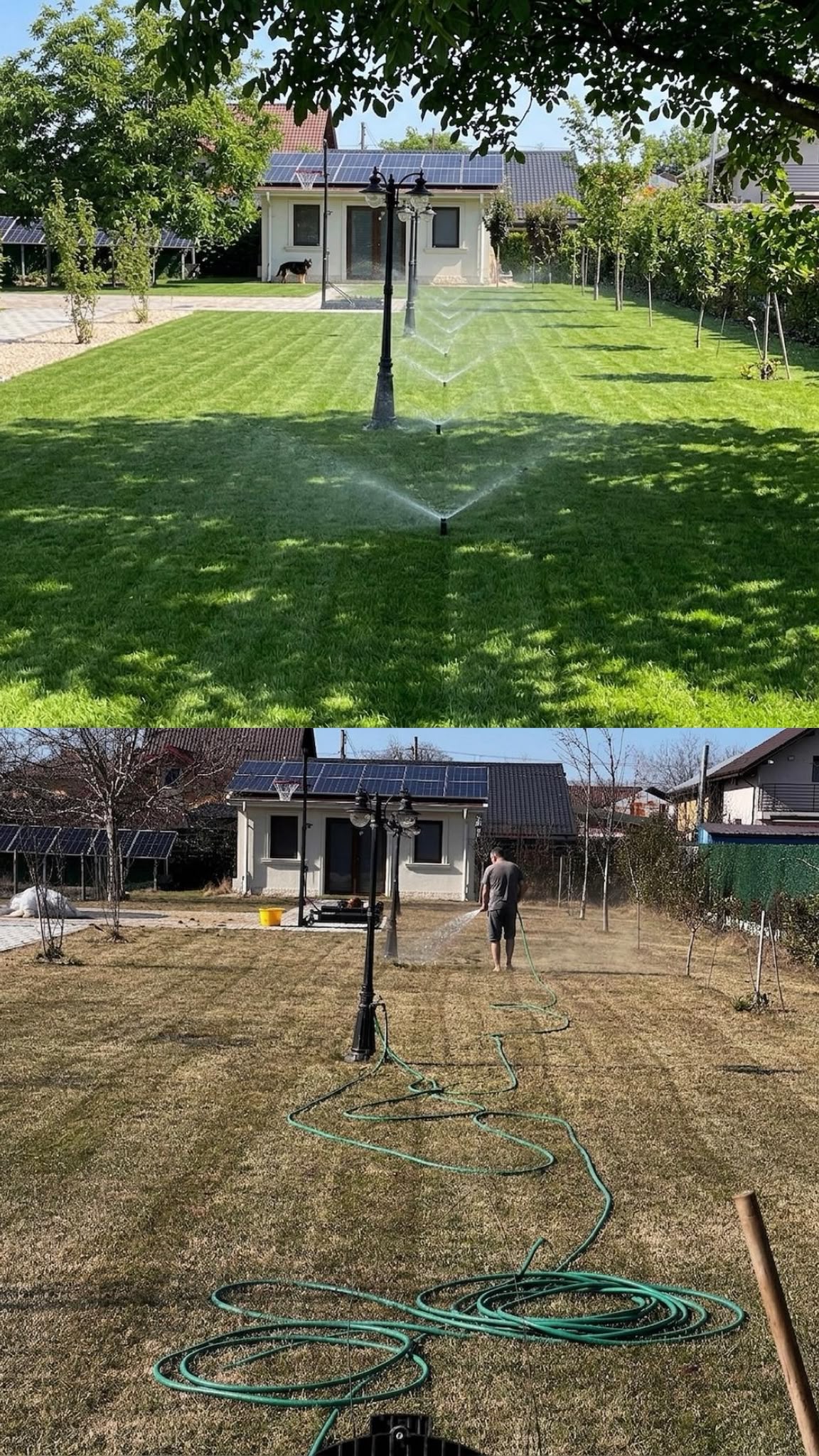 Comparație între udarea manuală cu furtunul și un sistem de irigații automatizat Garden Family
