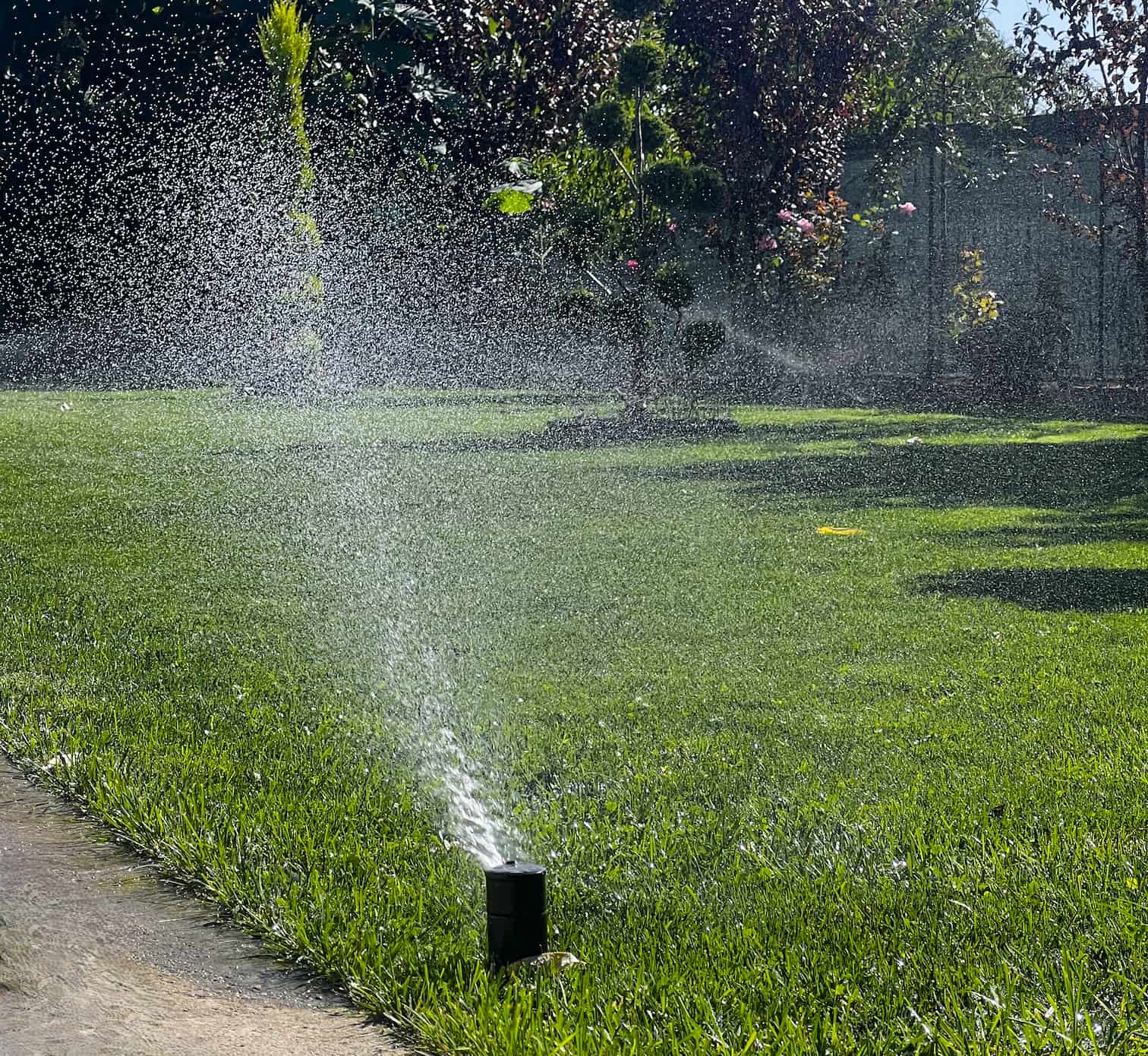 Sistem de irigare automată în acțiune