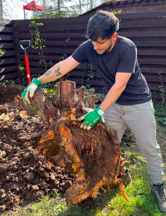 Diverse servicii de gradinarit