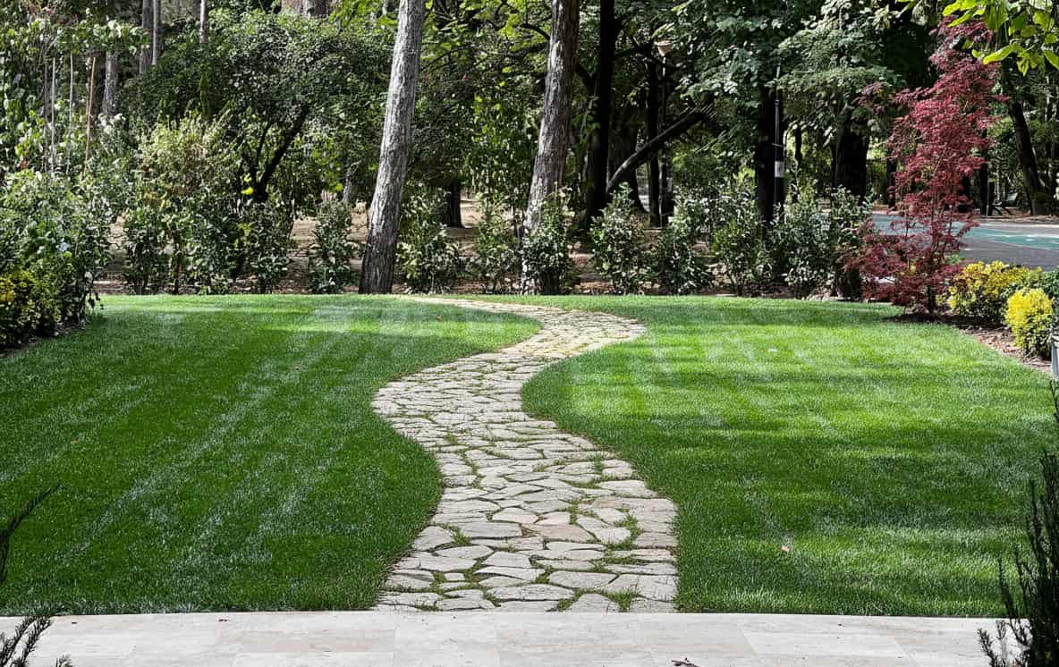 Pavele și Alei Grădină